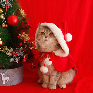 Katze Hund Weihnachten Cape Poncho