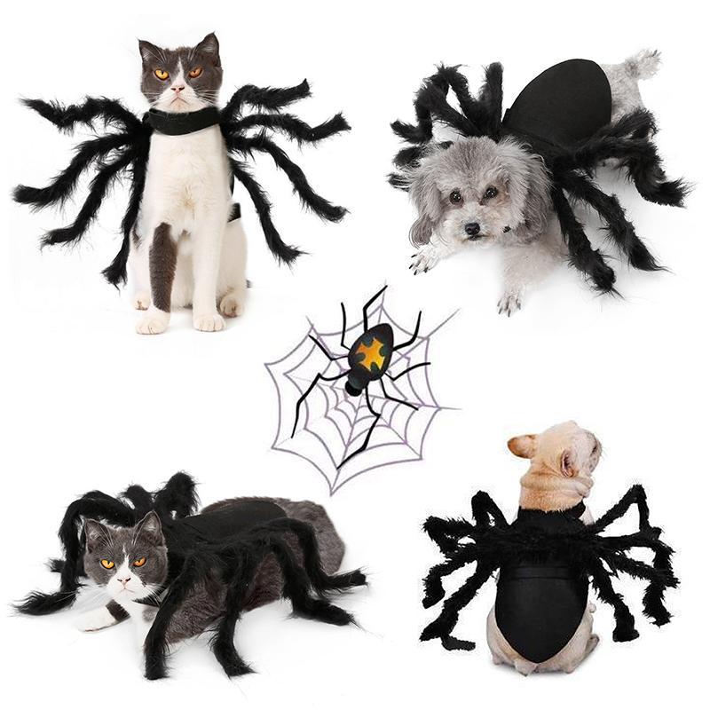 Spinnenkostüm für Haustiere