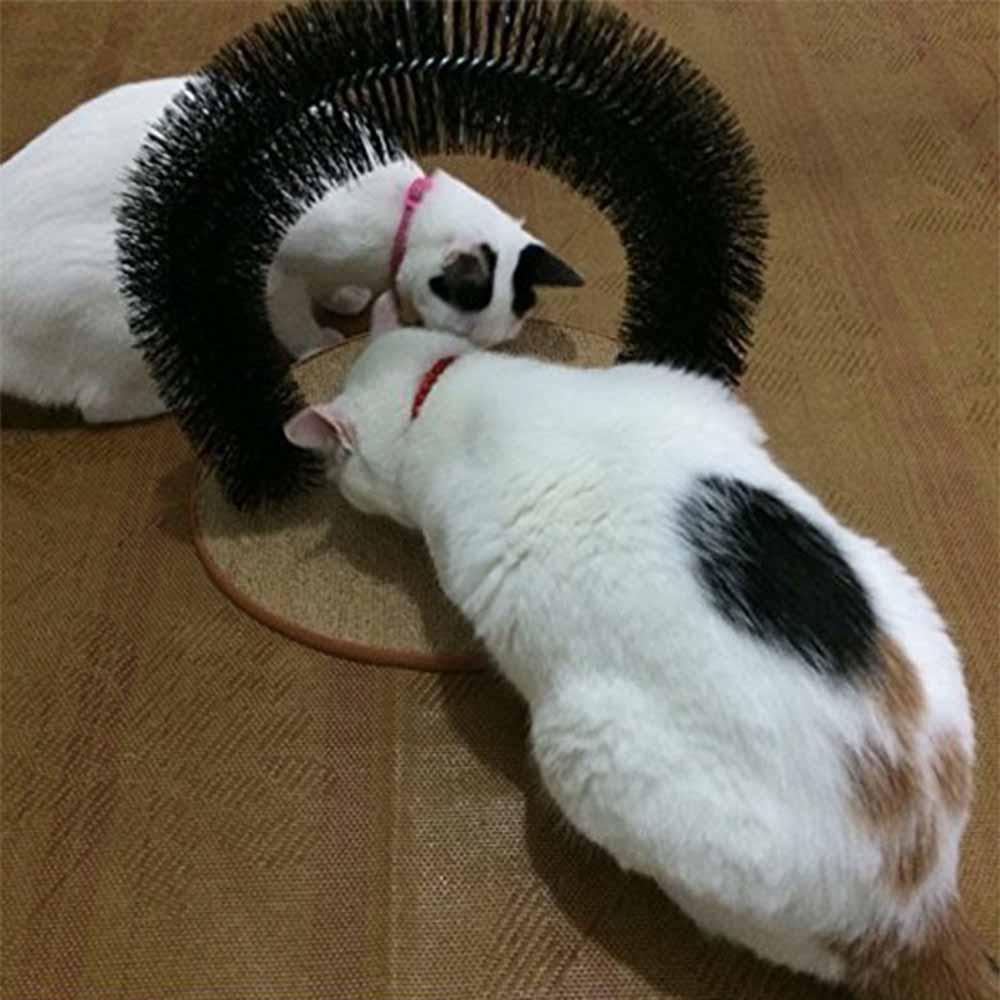 Massage- und Haarbürste  für Katzen